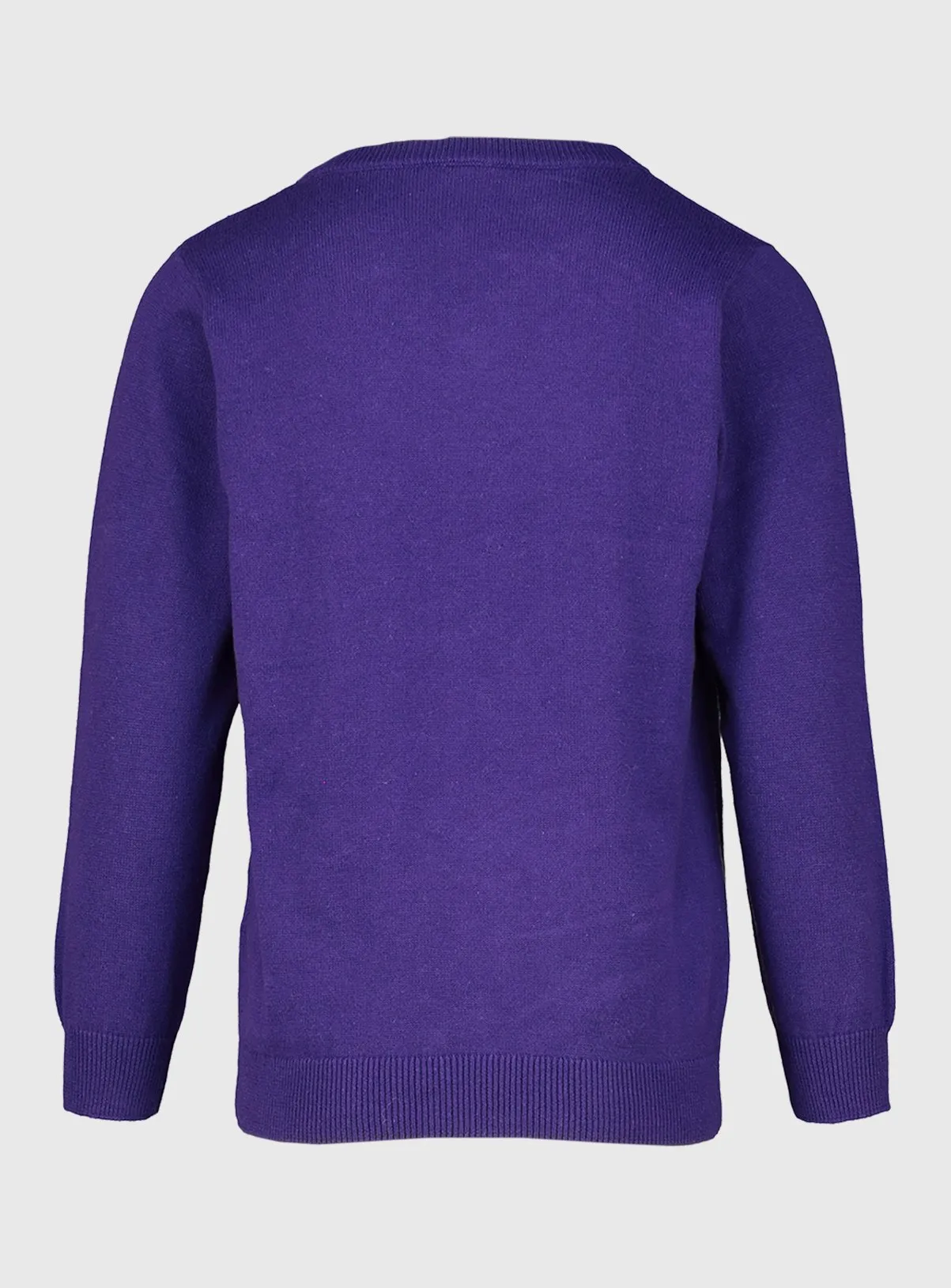 Buy Purple V-Neck Jumpers 2 Pack - 7 years | Jumpers and cardigans | Tu