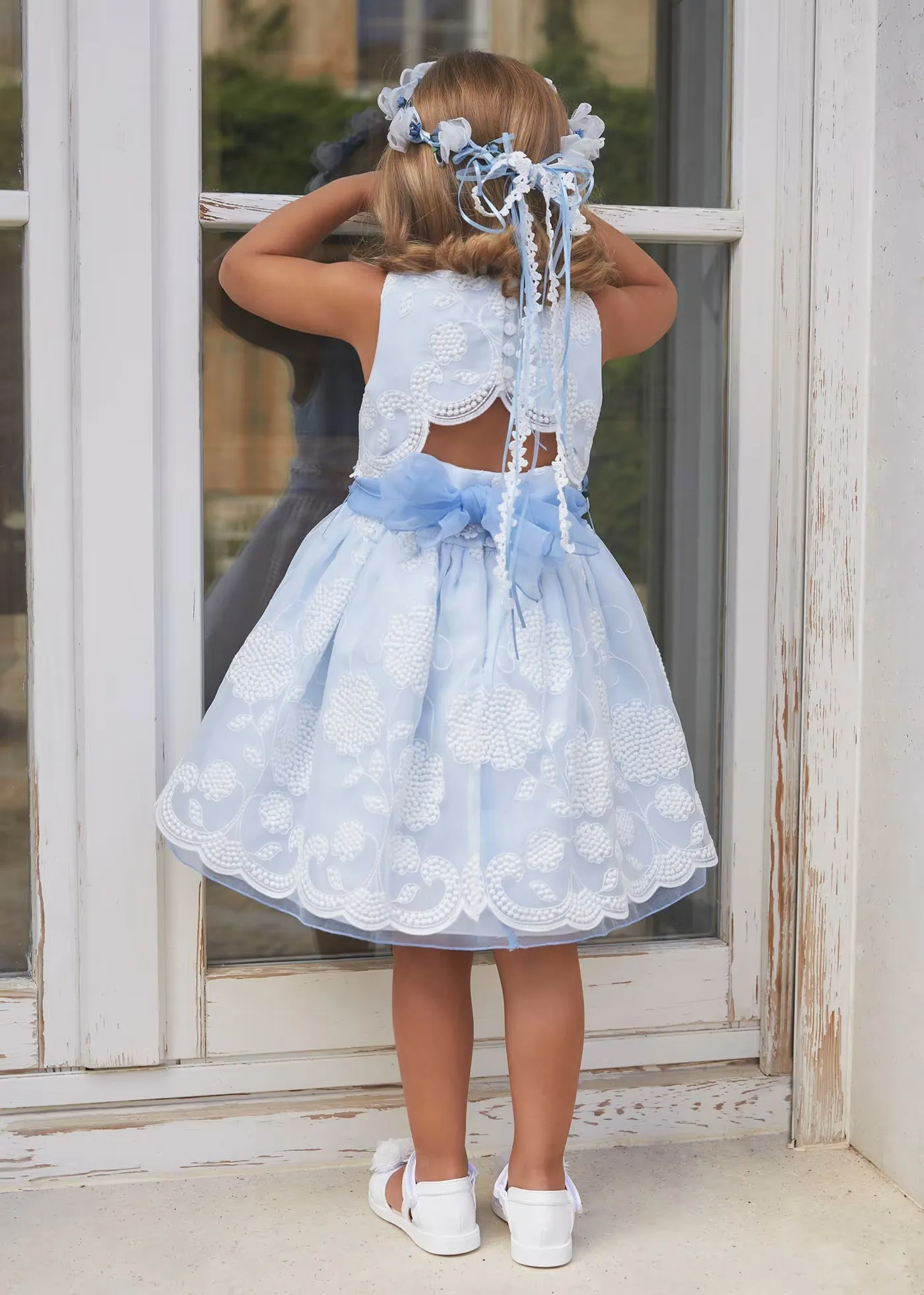 Organza embroidered dress - Sky blue