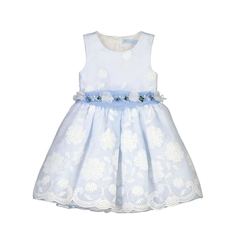 Organza embroidered dress - Sky blue