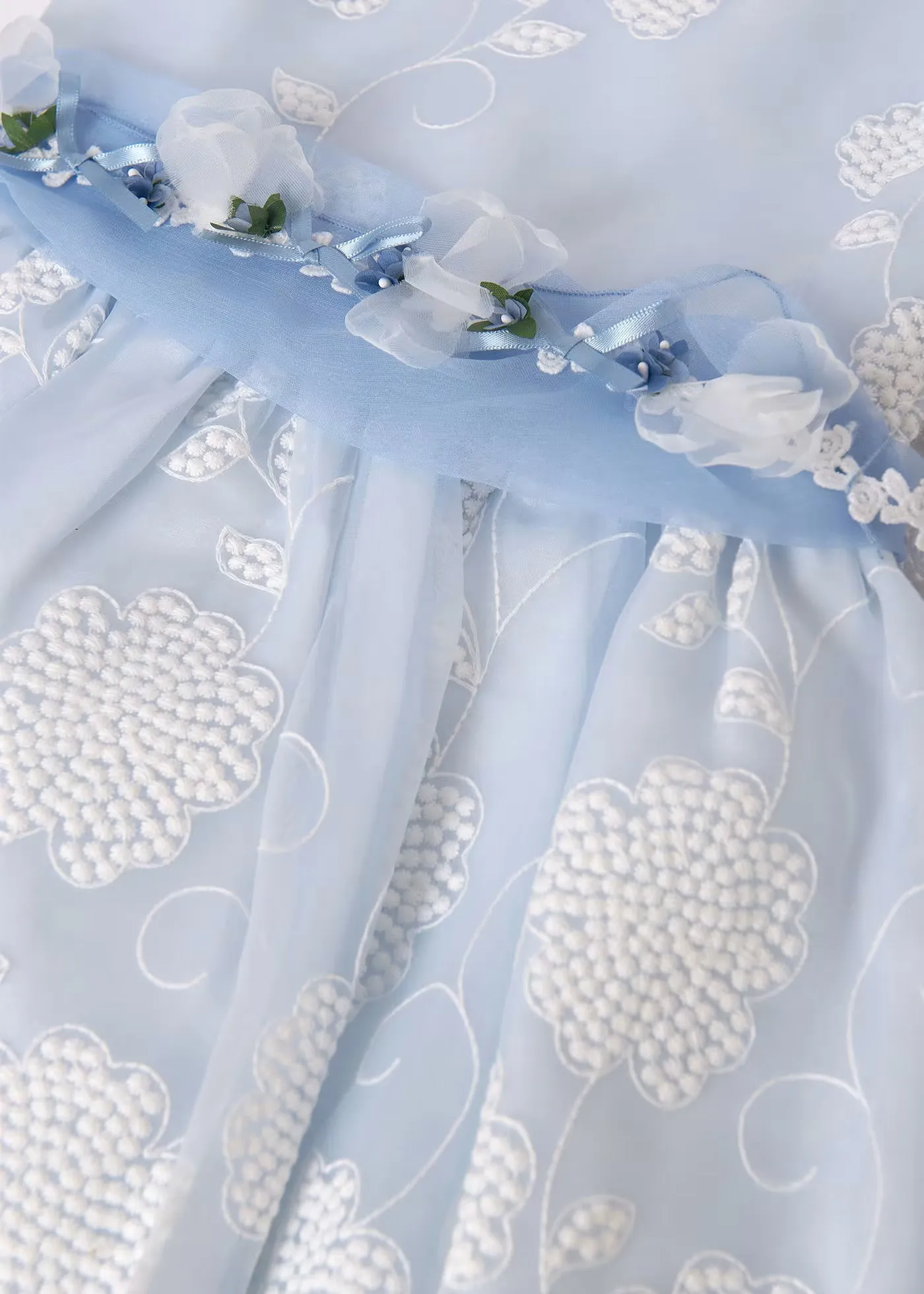 Organza embroidered dress - Sky blue