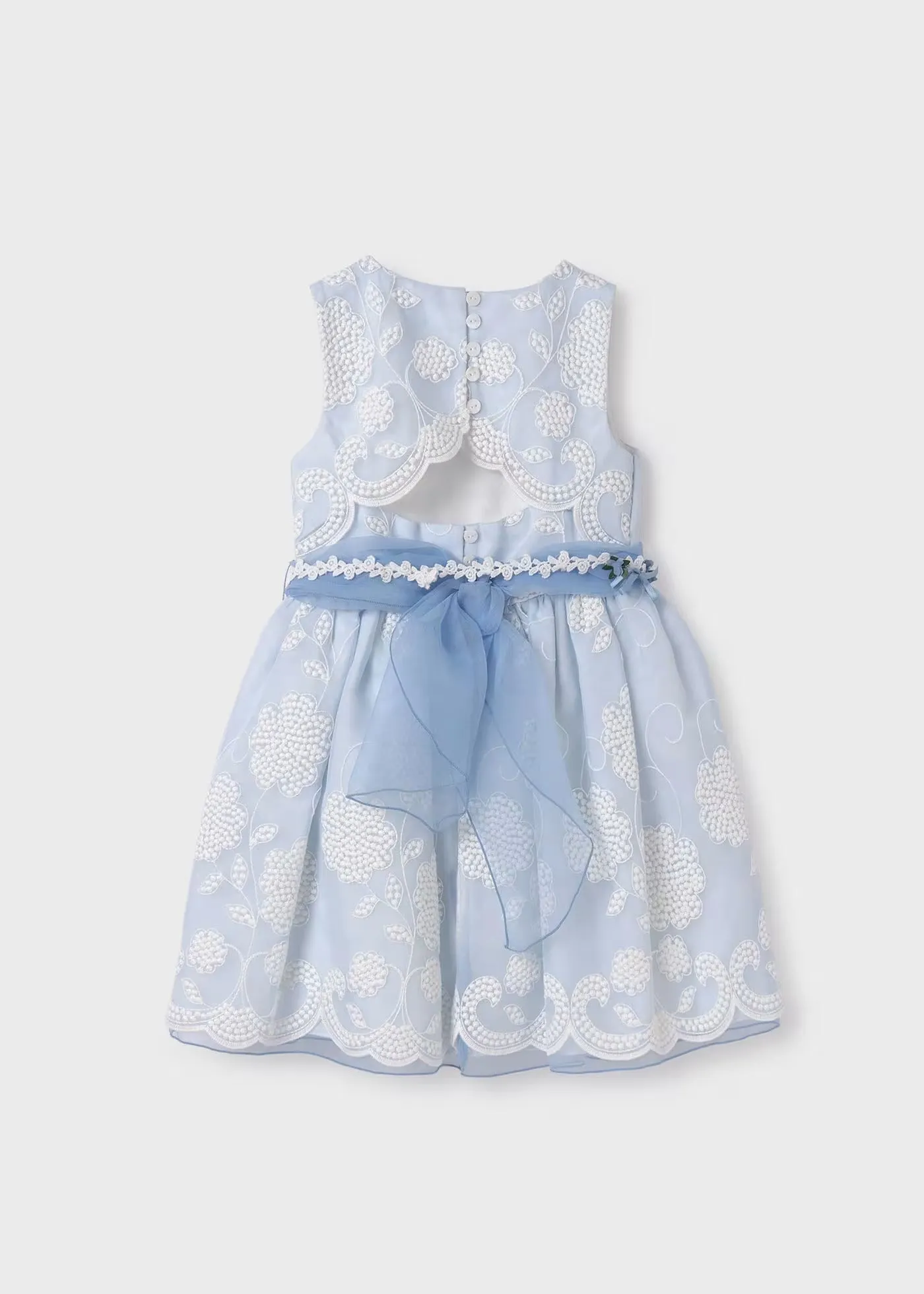 Organza embroidered dress - Sky blue