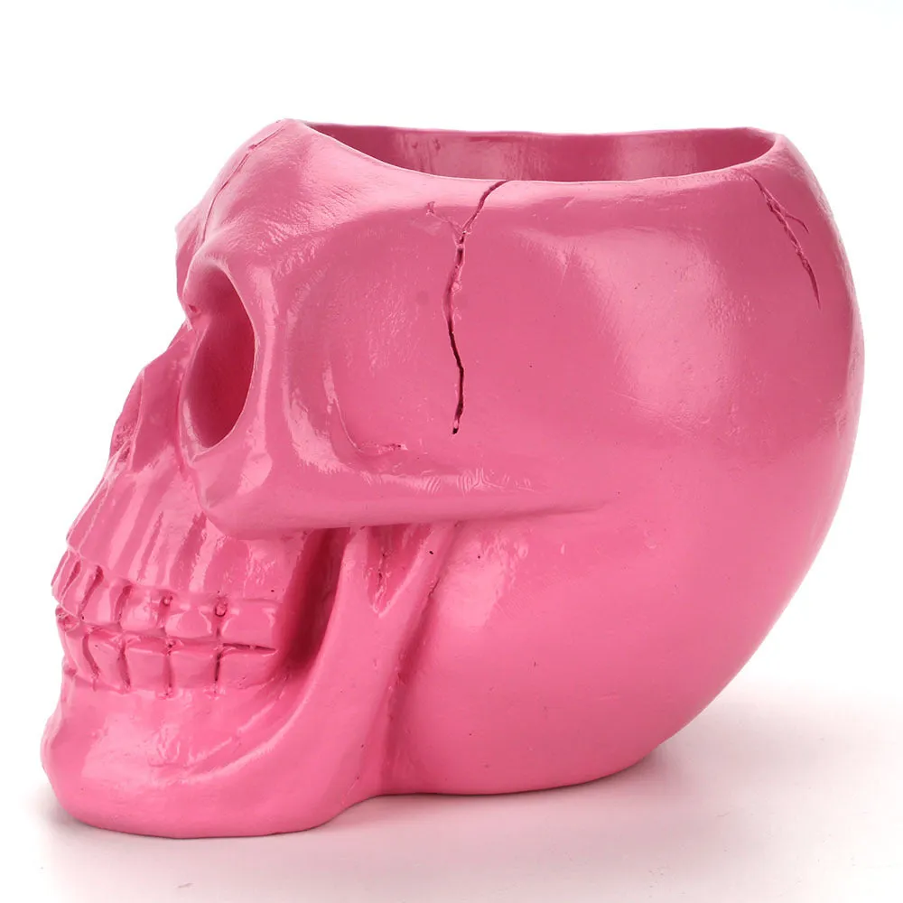 Skull Head Container