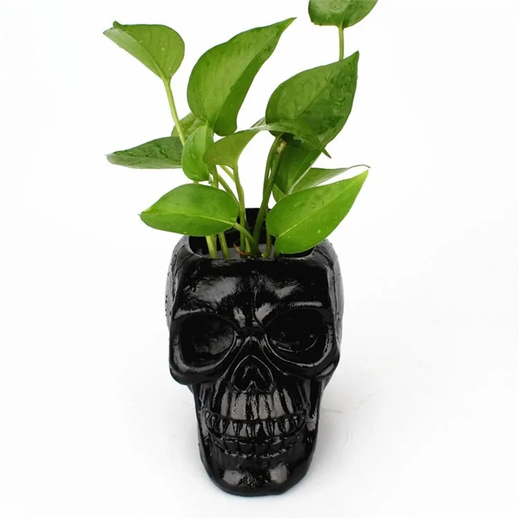 Skull Head Container