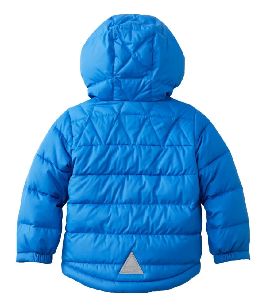 Toddlers' Bean's Down Jacket